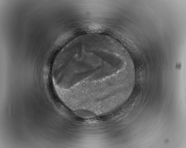X0000101970742200808151337