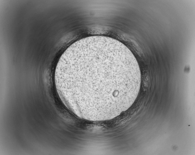 X0000101970743200808151337