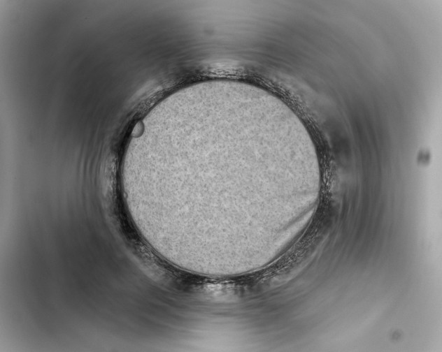 X0000101970744200808151337