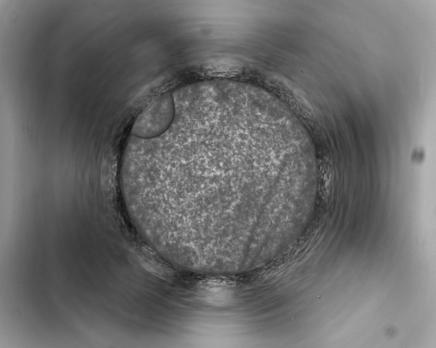 X0000101970745200808151337