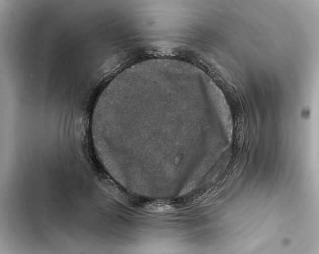 X0000101970747200808151337