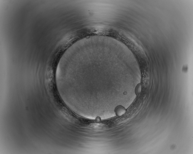 X0000101970748200808151337
