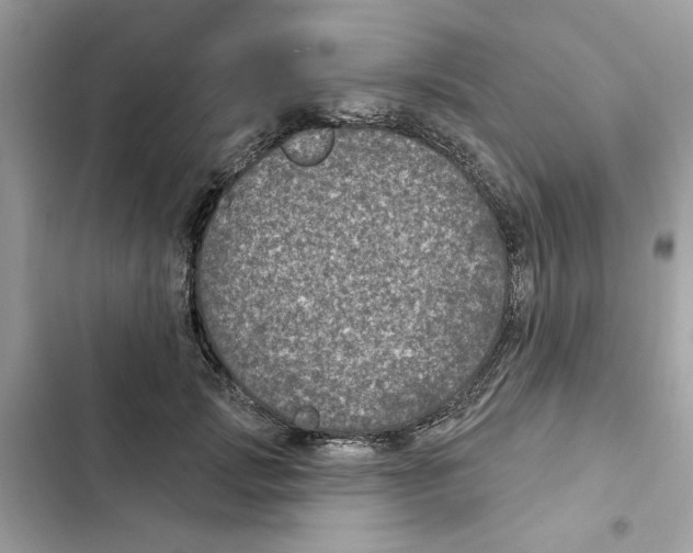 X0000101970749200808151337