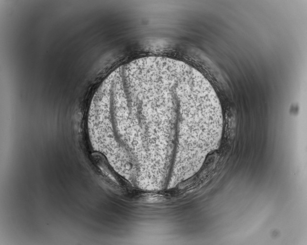 X0000101970750200808151337