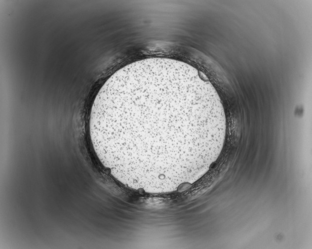 X0000101970751200808151337