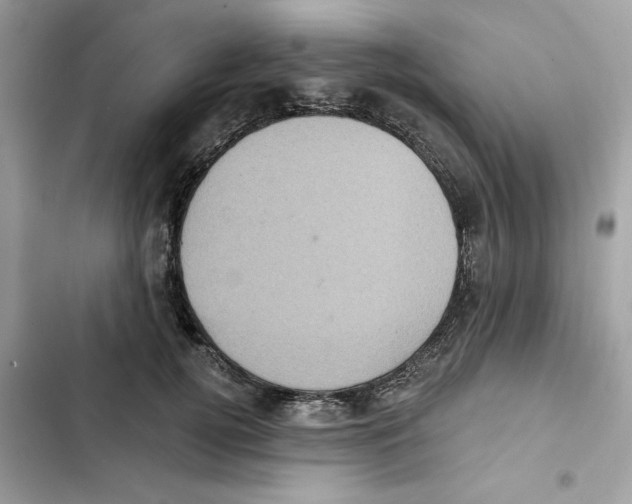 X0000101970752200808151337