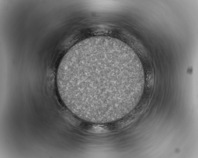 X0000101970753200808151337