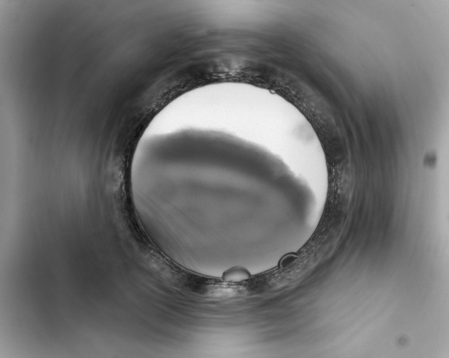X0000101970754200808151337