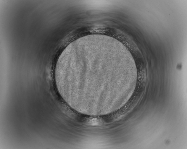 X0000101970755200808151337