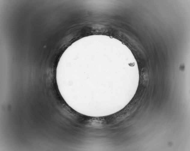 X0000101970756200808151337