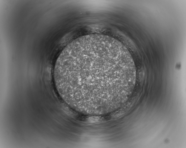 X0000101970757200808151338