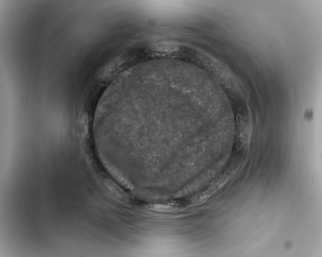 X0000101970758200808151338