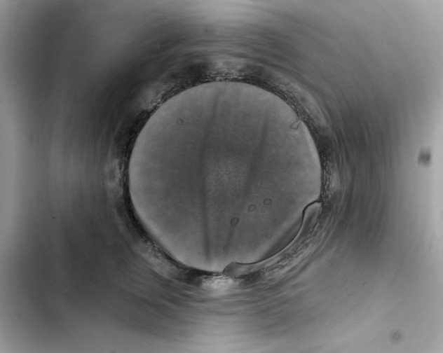 X0000101970759200808151338