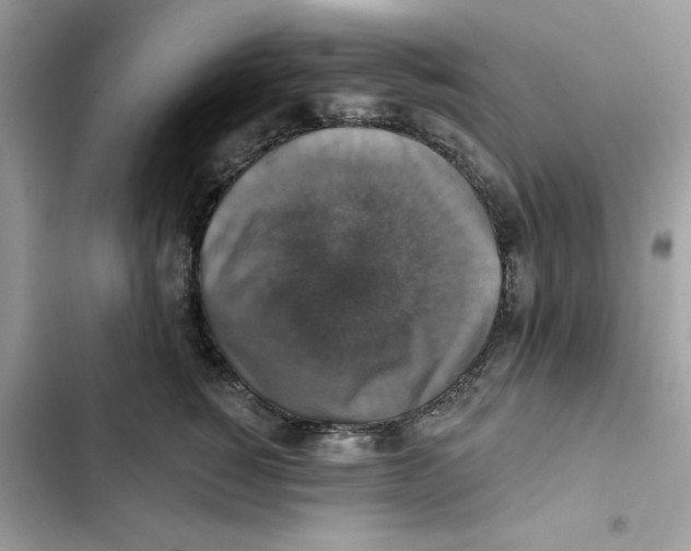 X0000101970760200808151338