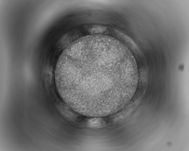 X0000101970761200808151338