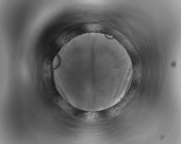 X0000101970762200808151338