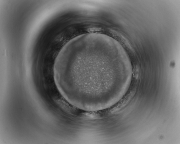 X0000101970763200808151338