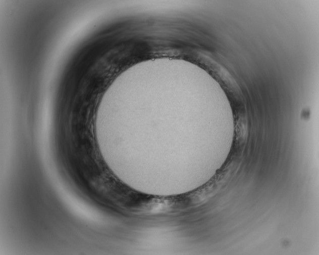 X0000101970764200808151338