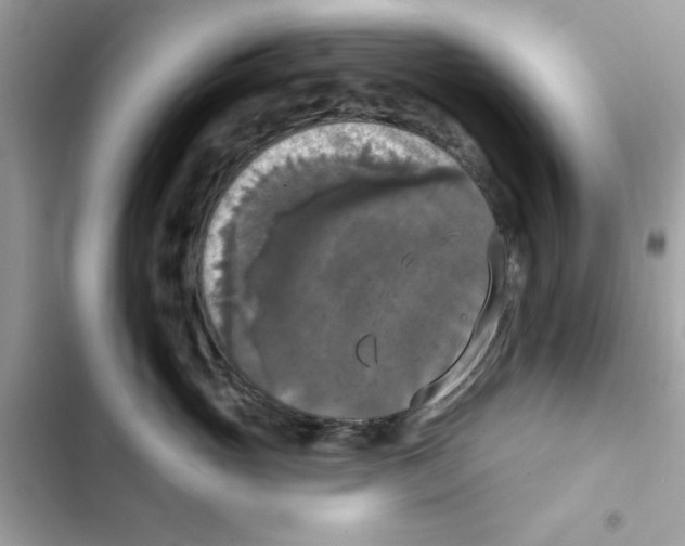 X0000101970765200808151338