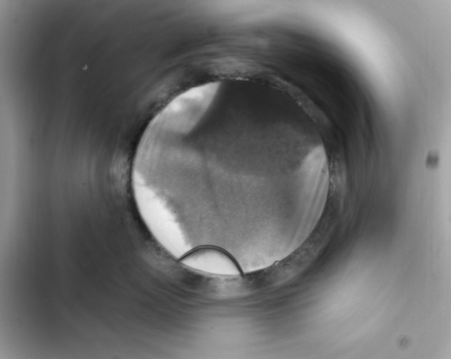 X0000101970767200808151338
