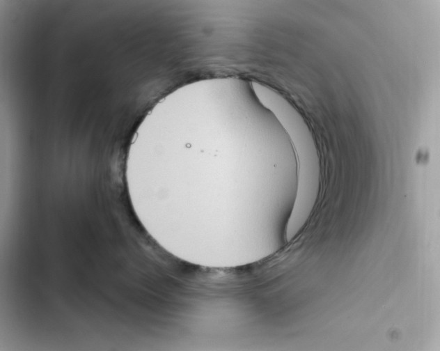 X0000101970768200808151338