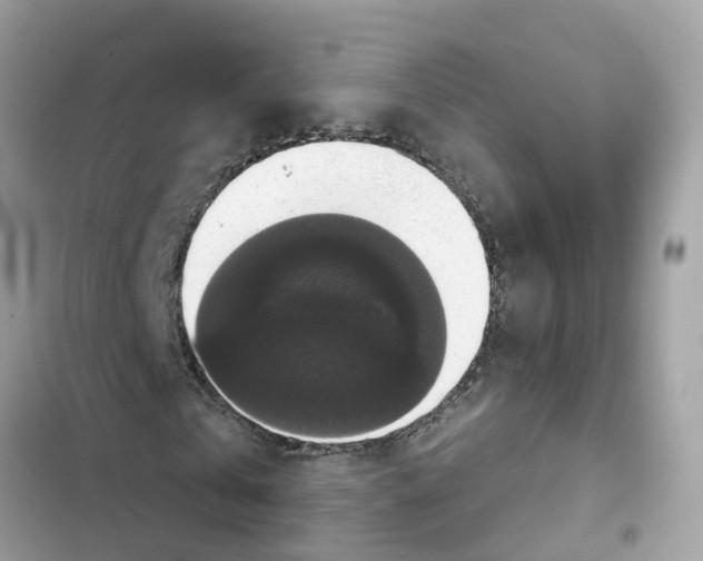 X0000101970769200808151337