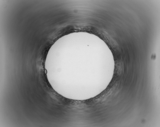 X0000101970770200808151337