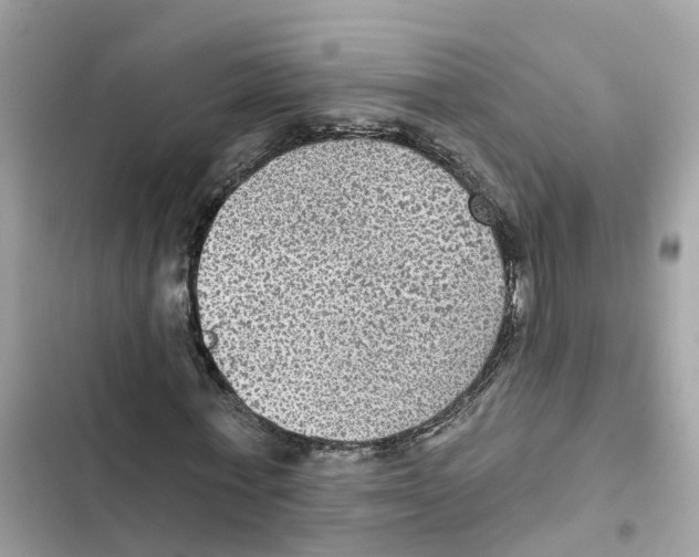 X0000101970771200808151337