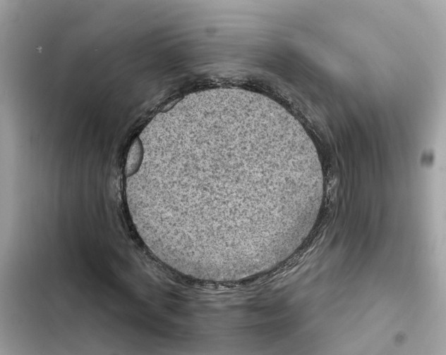 X0000101970772200808151337