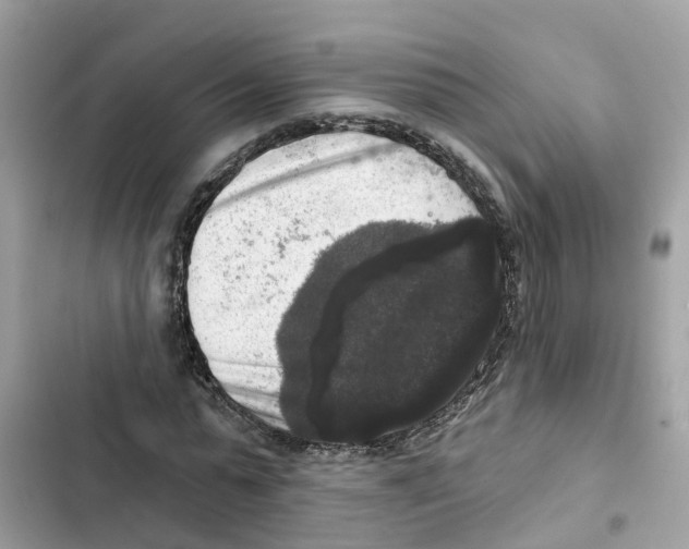 X0000101970775200808151337