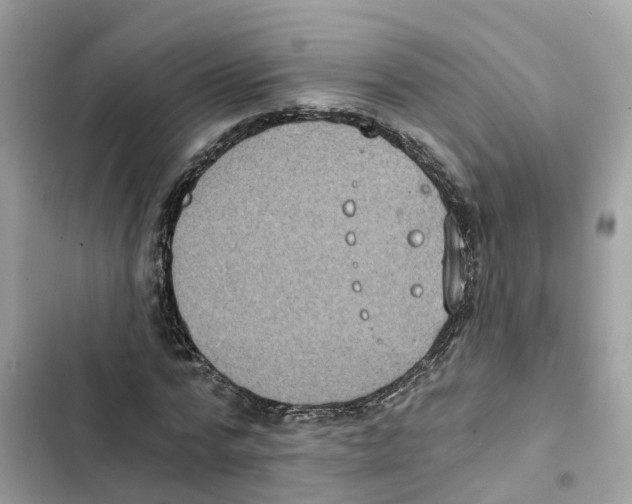 X0000101970776200808151337