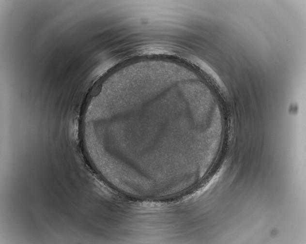 X0000101970777200808151337