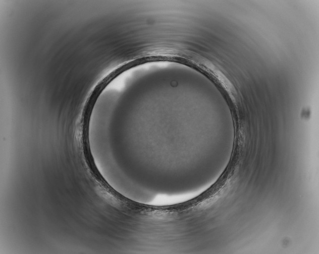 X0000101970779200808151337