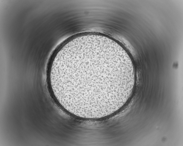 X0000101970780200808151337