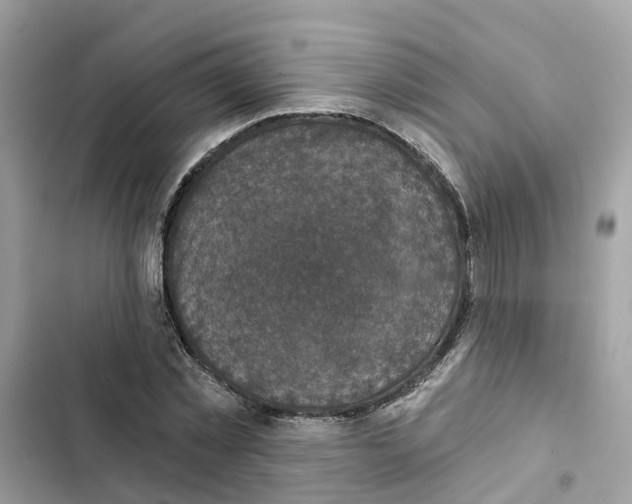 X0000101970781200808151337