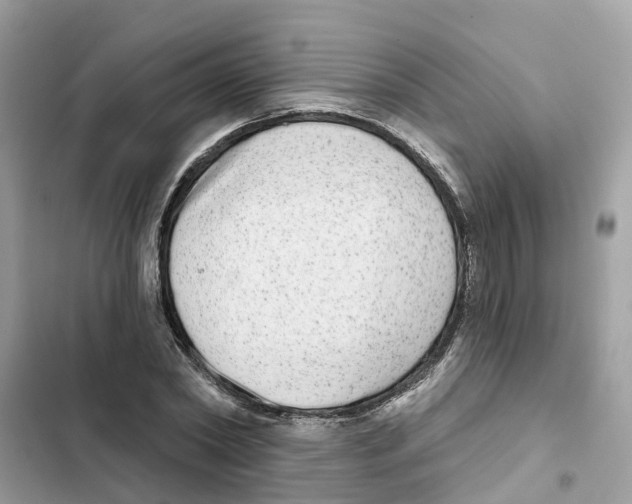 X0000101970782200808151337