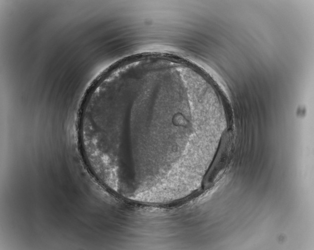 X0000101970783200808151337