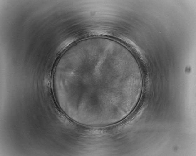 X0000101970785200808151337
