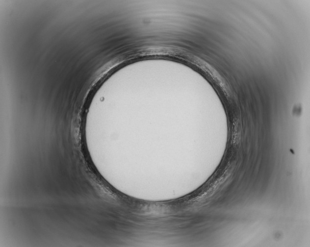 X0000101970786200808151337