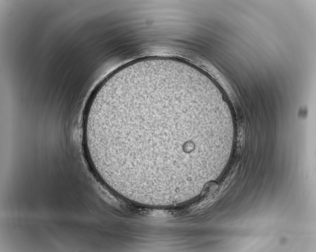 X0000101970787200808151337