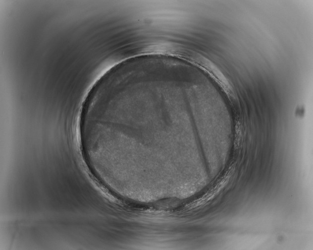 X0000101970788200808151337