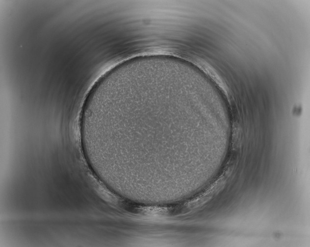 X0000101970789200808151337