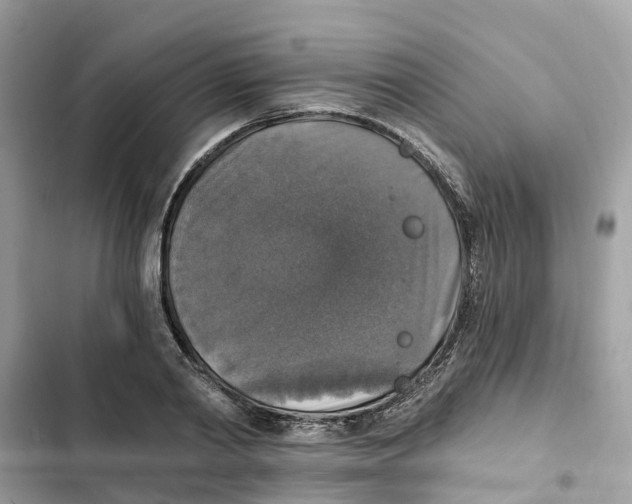 X0000101970790200808151337
