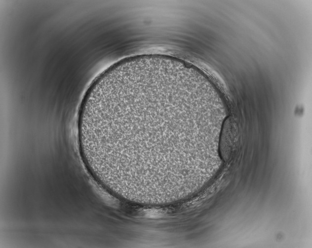 X0000101970792200808151337