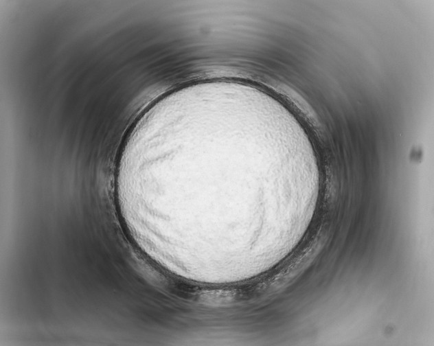 X0000101970793200808151337