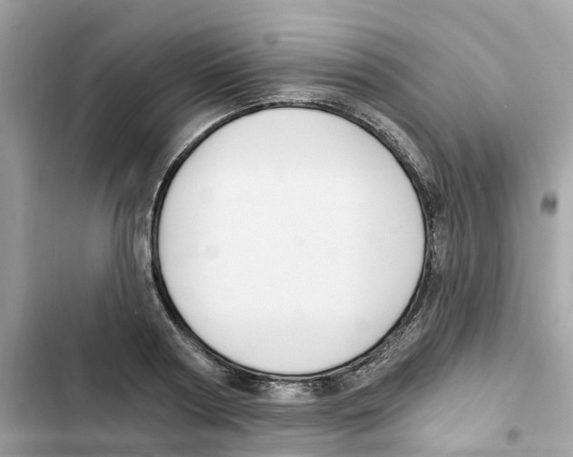 X0000101970794200808151337