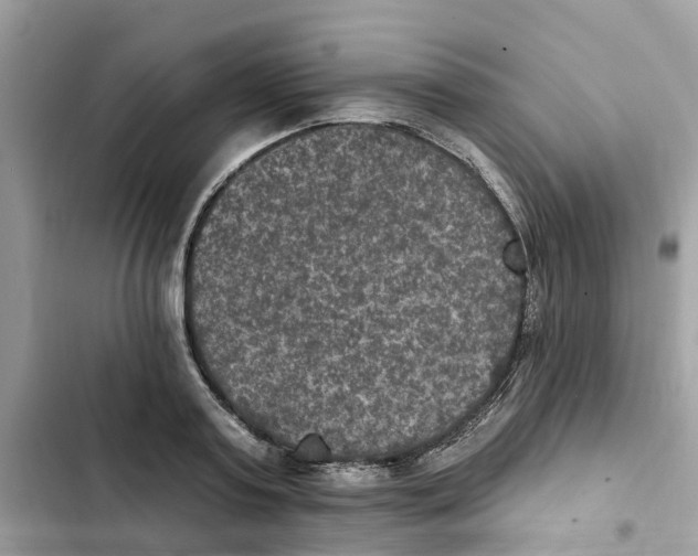 X0000101970795200808151337
