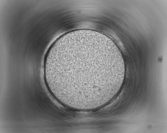 X0000101970796200808151337