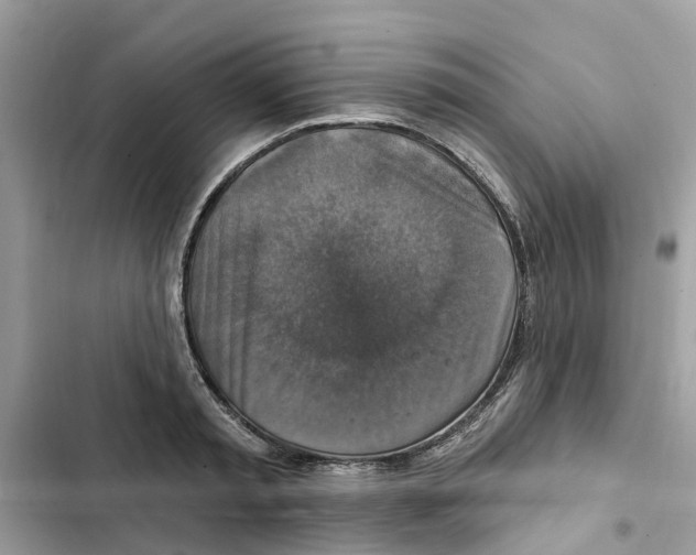 X0000101970797200808151337