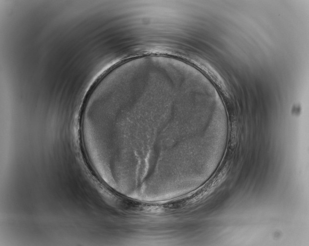 X0000101970798200808151337